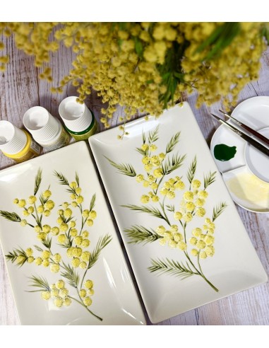 Masterclass Grabada: Pintar Mimosas...