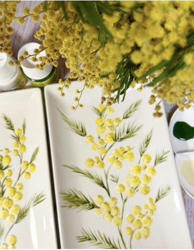 Masterclass Grabada: Pintar Mimosas...